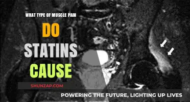 Statin-Induced Muscle Pain: Types, Symptoms, and Management Strategies
