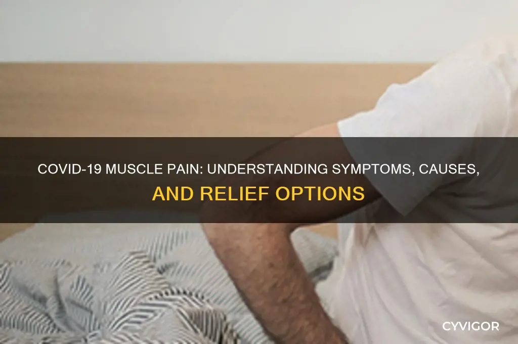 what type of muscle pain is associated with covid