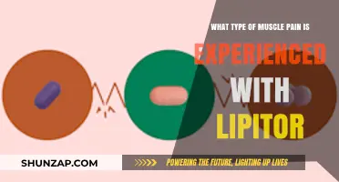 Lipitor and Muscle Pain: Understanding the Types and Symptoms
