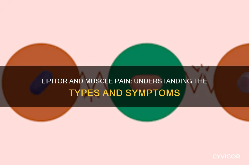 what type of muscle pain is experienced with lipitor