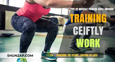 Aerobic Training: Targeting Endurance Muscles for Optimal Power and Performance