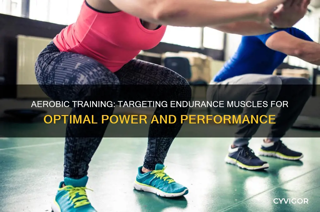 what type of muscle powers does areobic training ceiftly work