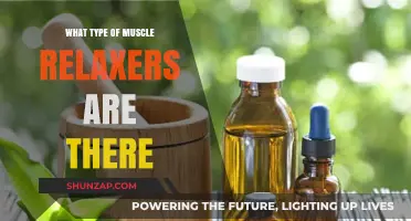 Exploring Different Types of Muscle Relaxers for Effective Pain Relief