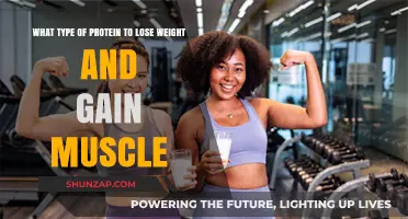 Best Protein Types for Weight Loss and Muscle Gain