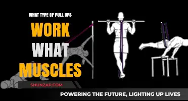 Pull-Up Variations: Targeting Specific Muscles for Strength and Tone