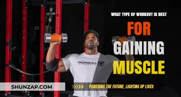 Effective Muscle-Building Workouts: Strength Training vs. Hypertrophy Techniques
