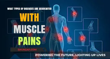Muscle Pains and Diseases: Uncovering Common Health Conditions Linked to Aches