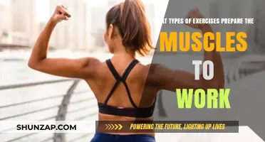 Effective Exercises to Prepare and Strengthen Muscles for Optimal Performance