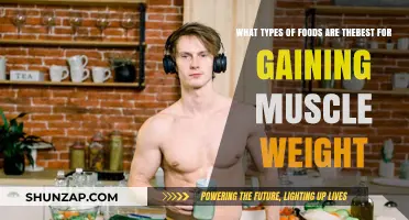Muscle-Building Foods: Top Picks for Healthy Weight Gain