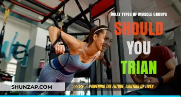 Effective Muscle Training: Key Groups to Target for Optimal Results