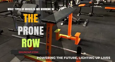Prone Row Muscles: Understanding the Key Players in This Exercise