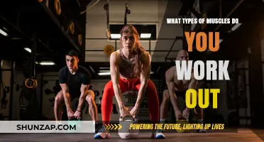 Understanding Muscle Groups: Which Ones Are You Targeting in Your Workouts?