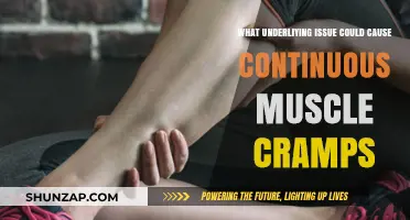 Unraveling the Root Causes of Persistent Muscle Cramps: A Deep Dive