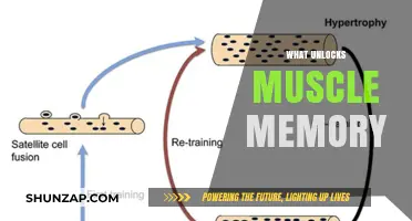 How to Unlock Muscle Memory: The Key to Success