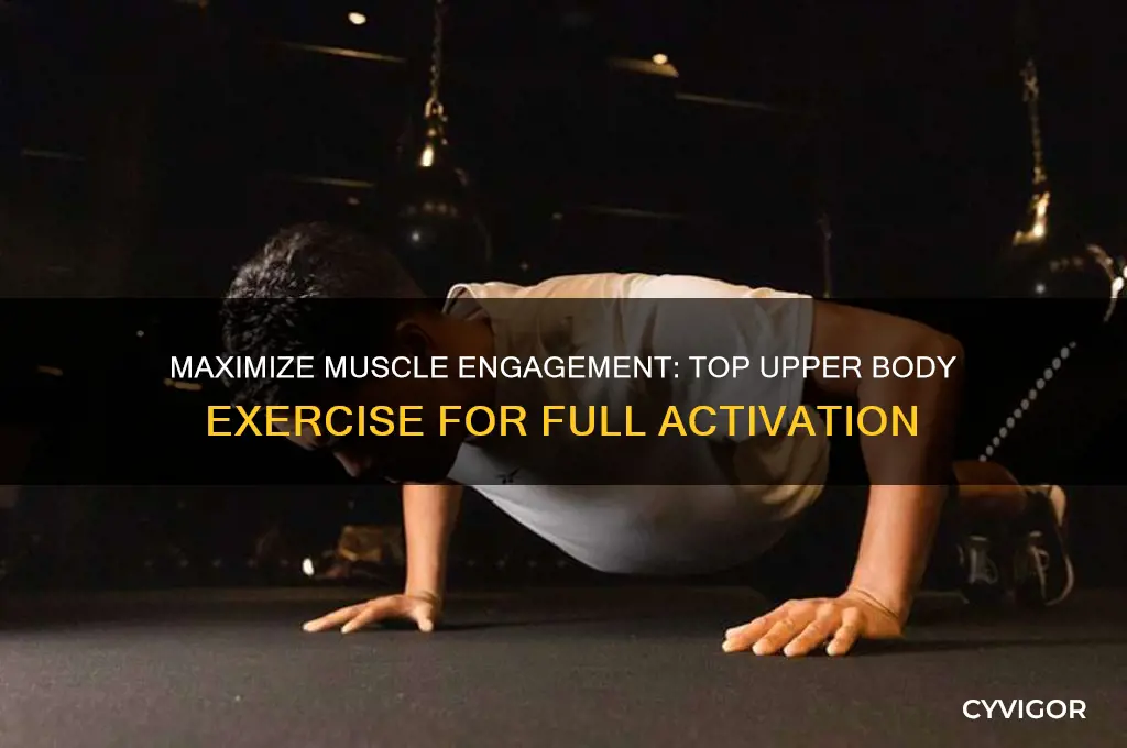 what upper body exercise works the most muscles