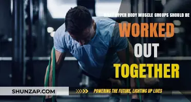 Effective Upper Body Workouts: Pairing Muscle Groups for Optimal Results
