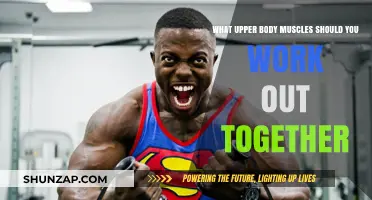 Effective Upper Body Workout: Muscle Groups to Train Together