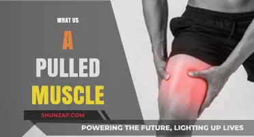 Understanding Pulled Muscles: Causes, Symptoms, and Effective Recovery Tips
