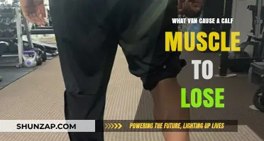 Understanding Calf Muscle Atrophy: Causes and Prevention Strategies