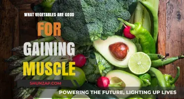 Muscle-Building Veggies: Top Vegetables to Fuel Your Fitness Goals