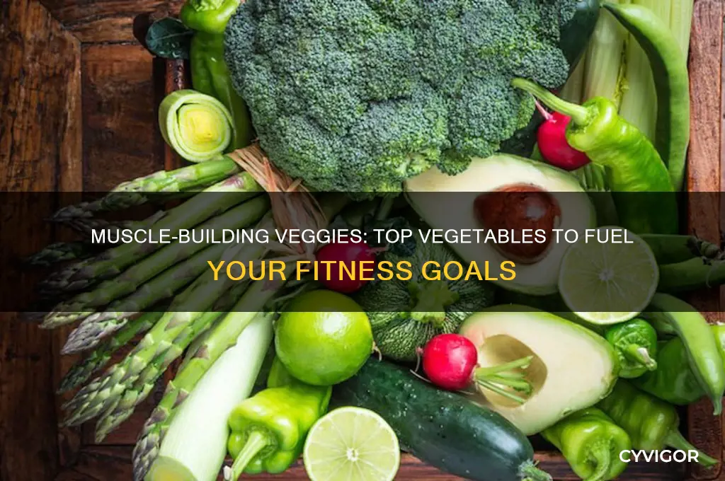 what vegetables are good for gaining muscle