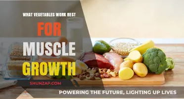 Top Vegetables to Fuel Muscle Growth and Recovery