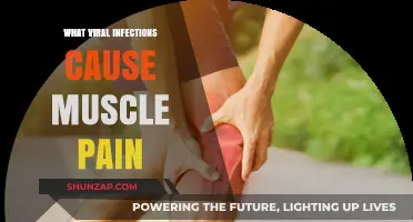 Viral Infections Linked to Muscle Pain: Causes and Symptoms Explained