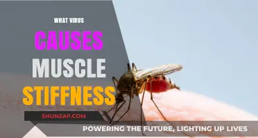Unraveling the Virus Behind Muscle Stiffness: Causes and Insights