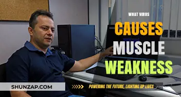 Understanding the Viral Culprits Behind Muscle Weakness: Causes and Impact