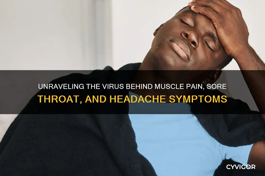 what virus produces muscle pain sore throat and headache