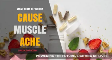 Vitamin Deficiencies Linked to Muscle Aches: Causes and Solutions