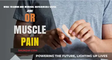 Vitamin and Mineral Deficiencies Linked to Joint and Muscle Pain