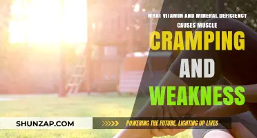 Vitamin and Mineral Deficiencies Linked to Muscle Cramps and Weakness
