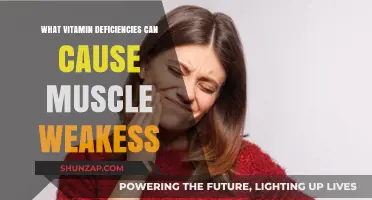 Vitamin Deficiencies Linked to Muscle Weakness: Essential Nutrients to Monitor