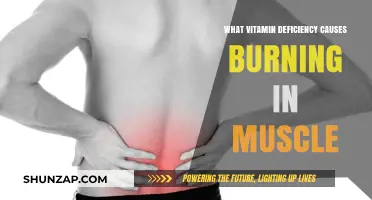 Burning Muscles? Uncover the Vitamin Deficiency Behind This Painful Symptom
