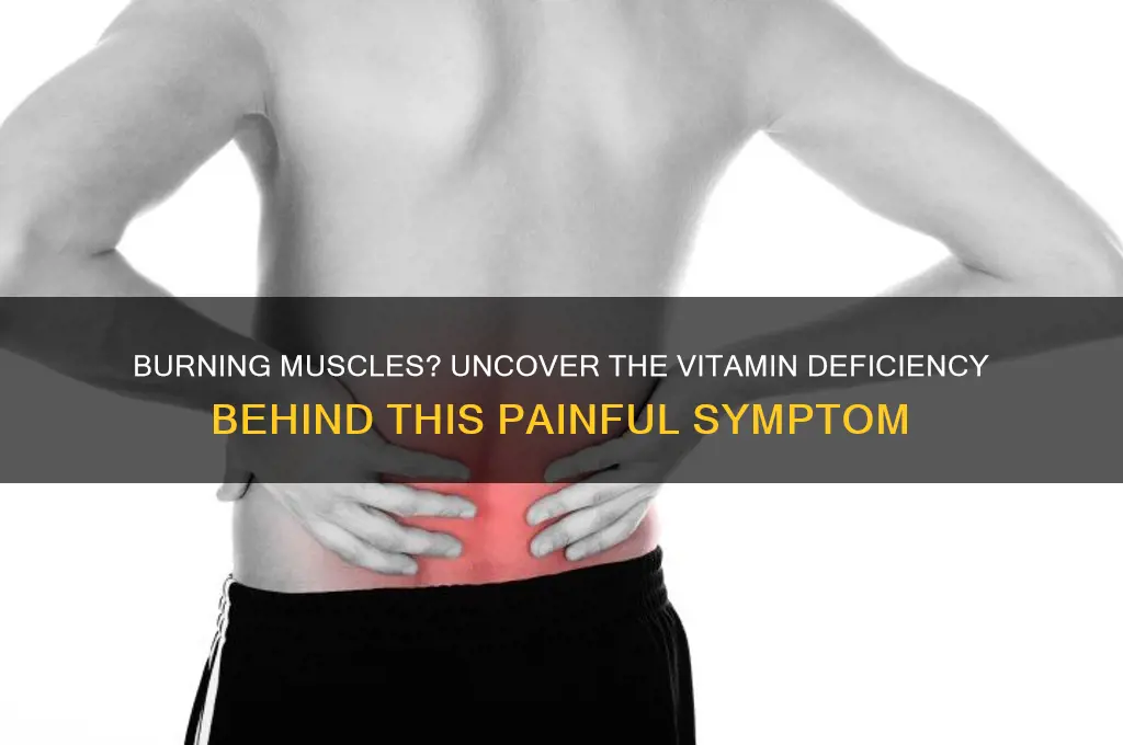 what vitamin deficiency causes burning in muscle