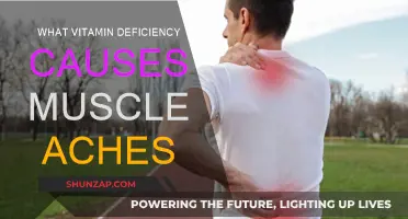 Vitamins and Muscle Aches: What's the Connection?