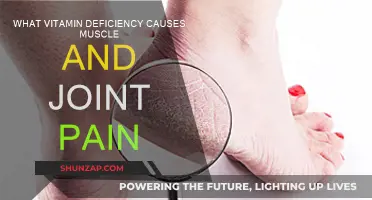 Vitamins to Alleviate Muscle and Joint Pain