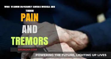 Vitamin Deficiency Linked to Muscle Pain, Tendon Issues, and Tremors