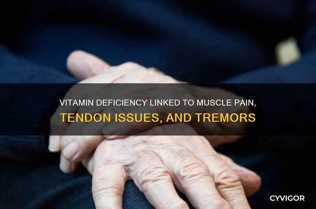 what vitamin deficiency causes muscle and tebdon pain and tremors
