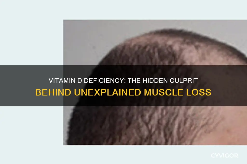 what vitamin deficiency causes muscle loss