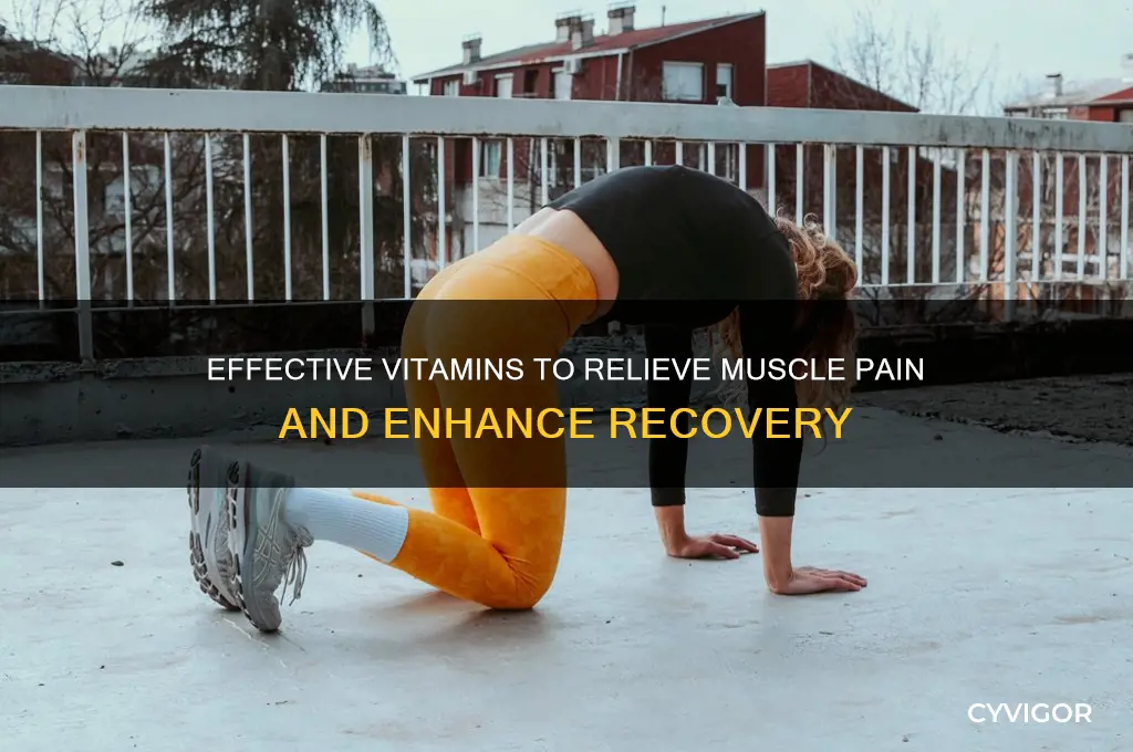 what vitamin for muscle pain