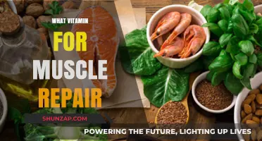 Vitamins for Muscle Repair: What You Need to Know