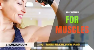 Vitamins for Muscle Health: What You Need to Know