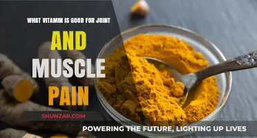 Relieve Joint and Muscle Pain: Top Vitamins for Healing and Recovery