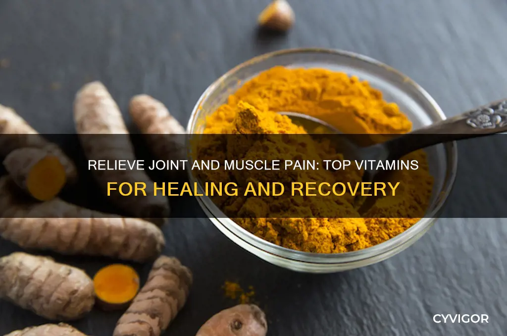 what vitamin is good for joint and muscle pain