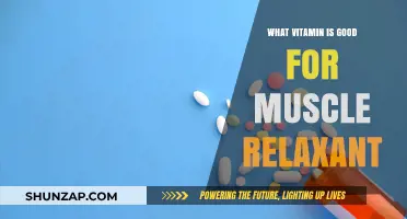 Top Vitamins for Natural Muscle Relaxation and Recovery