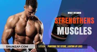 Vitamins for Muscle Strength: What You Need to Know