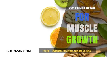 Boost Muscle Growth: Essential Vitamins for Strength and Recovery