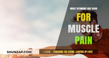 Top Vitamins to Relieve Muscle Pain and Enhance Recovery